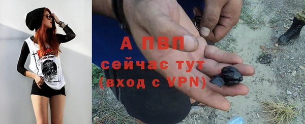 стафф Абинск