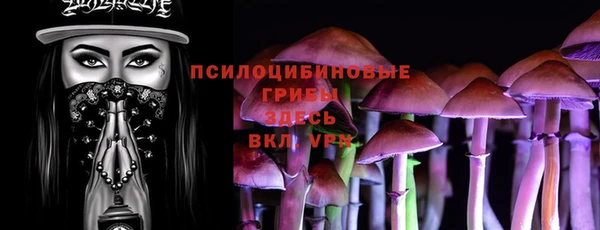 прущие грибы Абаза