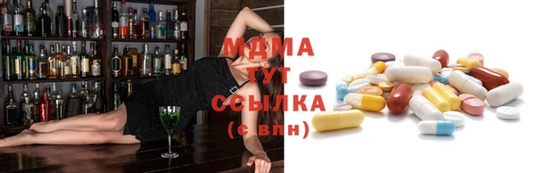 прущие грибы Абаза