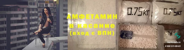 прущие грибы Абаза