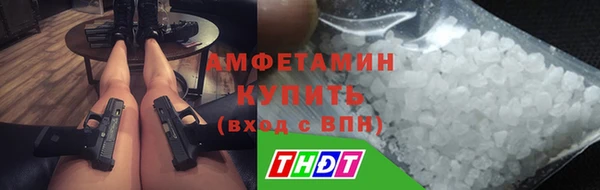 прущие грибы Абаза
