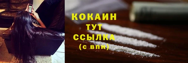 прущие грибы Абаза