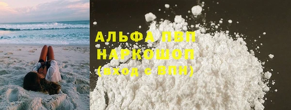 прущие грибы Абаза