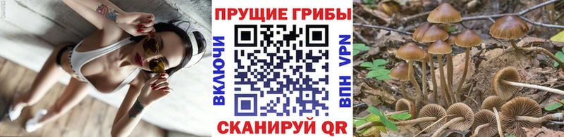 Псилоцибиновые грибы ЛСД Сергач