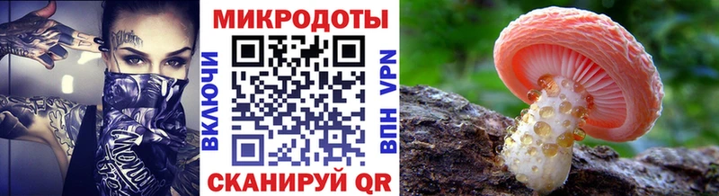 где купить наркоту Сергач Галлюциногенные грибы GOLDEN TEACHER